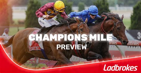 Champions Mile Betting Guide 2024 .